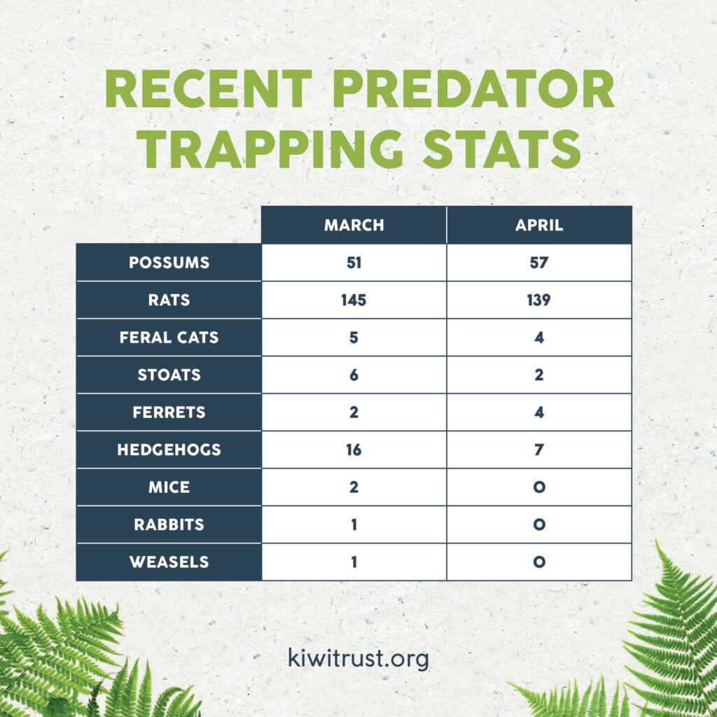 Predator stats